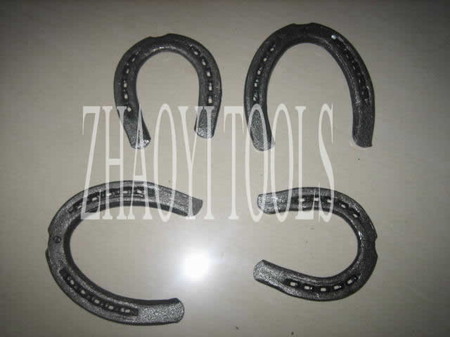 ZYC100