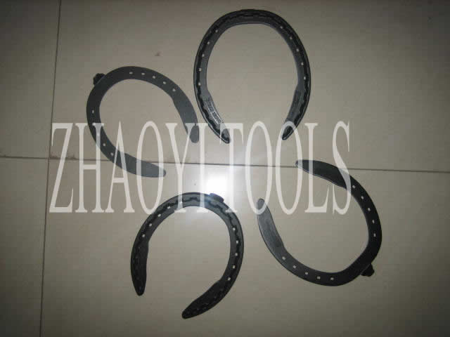 ZYC101